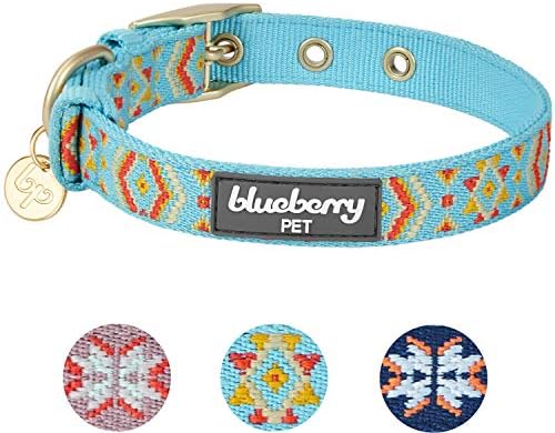 Blueberry Pet Southwestern Tribal Print Celeste Blue Adjustable Dog Collar with Metal Buckle, Neck 13-16.5", for Medium Breed