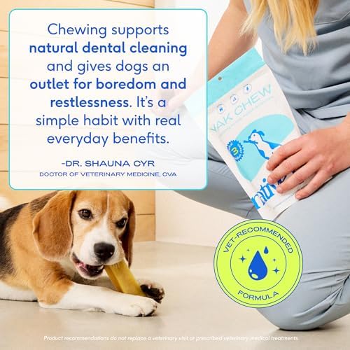 Native Pet Yak Cheese Himalayan Dog Chews - Long Lasting Dental Sticks for Medium Breeds – 100% All Natural Himalayan Yak Chews for Medium Dogs – Cheese Bone for Aggressive Chewers - 3 Per Pack