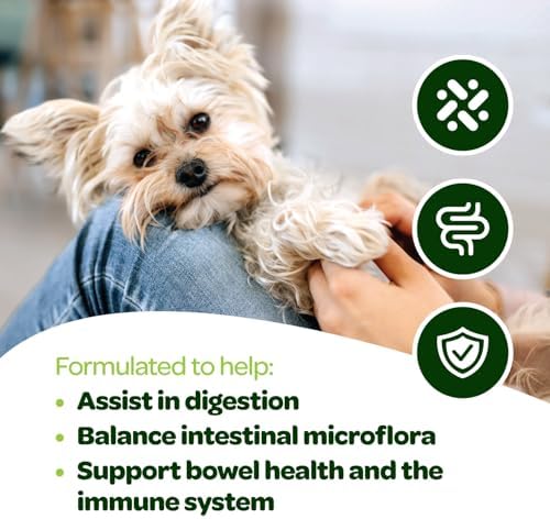 Probiotic Chews for Dogs Gut Health | Tasty Pre and Probiotics for Dogs Digestive Health with Pumpkin Dog Probiotics and Digestive Enzymes | NASC Certified & Made in The USA | 60 Chews (Pack of 2)