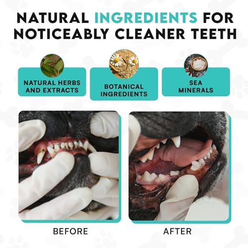 Frenchies vs Plaque & Tartar - Dog Dental Powder for Teeth Cleaning