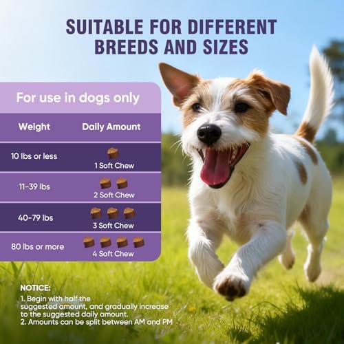 Dog Allergy Chews 200ct - Dog Allergy Itching Skin Relief Immune Support Anti Itch Probiotics for Yeast, Itchy Skin and Itchy Ears, Vitamins for Seasonal Allergies Itchy Skin Gut Health,Peanut Butter