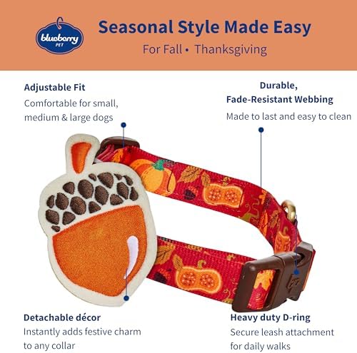 Blueberry Pet Thanksgiving Fall Pumpkin and Acorn Adjustable Dog Collar with Detachable Accessory, Large, Neck 18"-26"