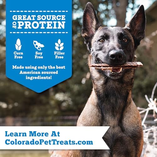 Fresh Field Salmon & Sweet Potato Jerky Chips, 5 oz – All-Natural Dog Treats, USA Made, No Fillers, Omega-3 Rich (Pack of 2)