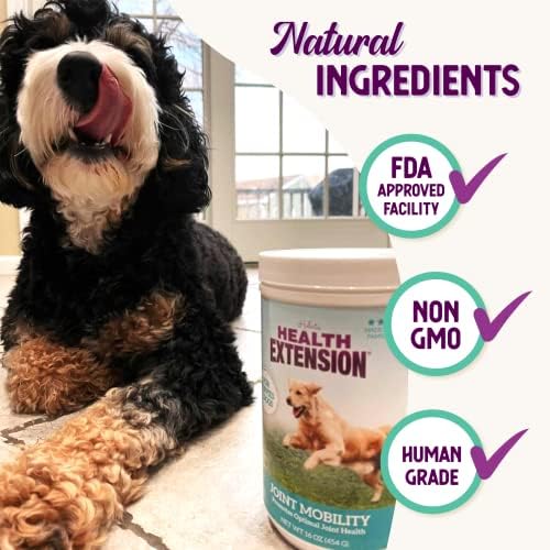 Health Extension Chondroitin with Glucosamine for Dogs, 8oz - Arthritis Pain Relief, Joint & Hip Supplement, Cheese Flavored Powder