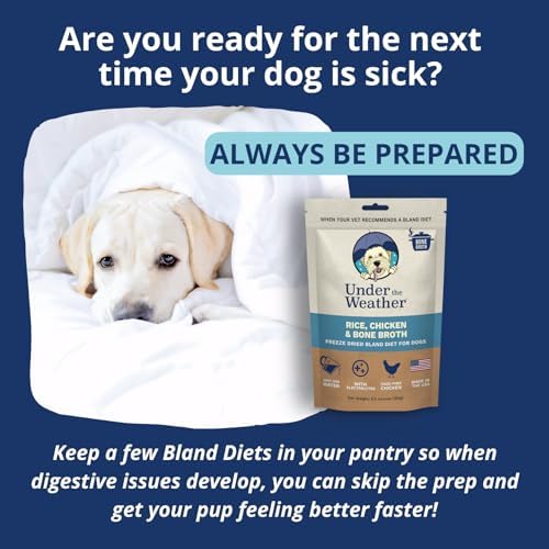Under the Weather Easy to Digest Bland Diet for Sick Dogs - Always Be Ready - Contains Electrolytes - Gluten Free, All Natural, Freeze Dried 100% Human Grade Meats - 6 Pack Chicken, Rice & Bone Broth