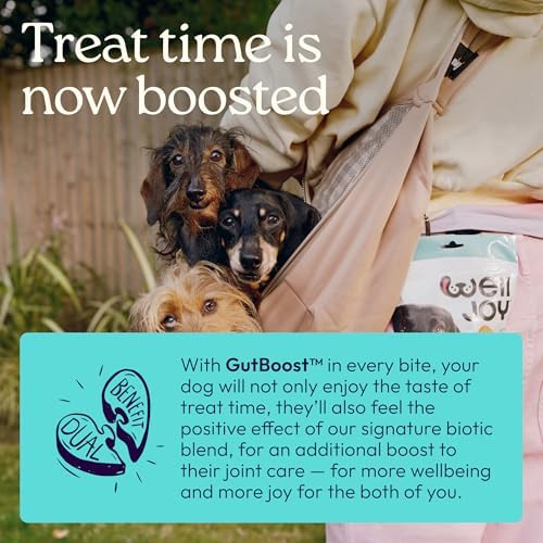 WellJoy Joint Dog Treat + Glucosamine, Chondroitin, GutBoost, 30ct