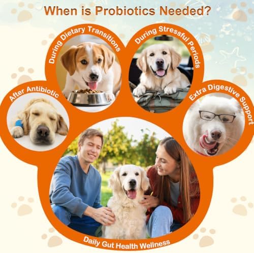 Dog Probiotic Soft Chews Support Gut Health, Diarrhea Gas Relief, 200 Chews | 6 Strains Probiotics, Immunity, Relieves Itchy Skin, Pumpkin, Blueberry, 6 Digestive Enzymes, 4 Prebiotics, Treats