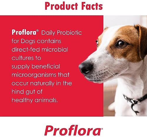 Proflora Probiotic Soft Chews for Dogs - Veterinary-Strength Daily Probiotic - Digestion Health - Boost Immune System - Skin and Coat Health - 180 Soft Chews