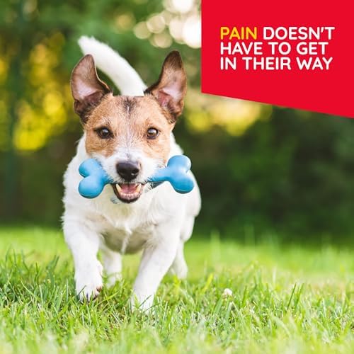 T-Relief Pet Pain Relief Drops Arnica +12 Powerful Natural Medicines Help Reduce Muscle Joint & Hip Pain Soreness Stiffness Injuries in Dogs & Cats - Fast-Acting Soother - 1.69 oz (Pack of 2)