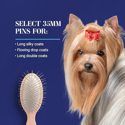 Chris Christensen 35 mm Oval Pin Dog Brush, Stainless Steel, Brown, Oval
