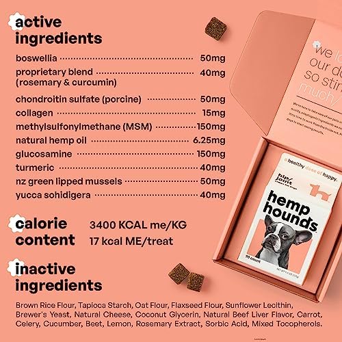 Adaptogenic Joint Supplement for Dogs- Glucosamine Chondroitin for Dogs with Green Lipped Mussels - MSM - 90 Chews - Dog Pain Supplement - Inflammation Relief Chews - Beef Liver Flavor