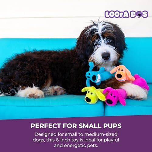 Multipet Original Loofa Dog Plush Toy - Squeaky Toy for All Dogs - Extra Soft Plush - Stuffed Animal Dog Toys for Playing (1 Count, 6”, Random Color Surprise)