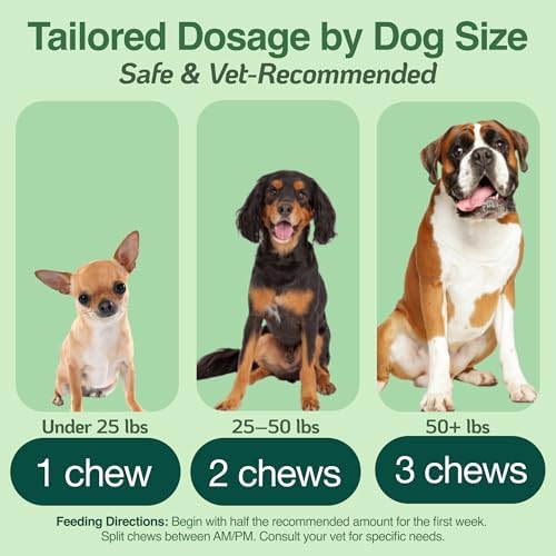 BAZI Hip & Joint Dog Chews – Glucosamine, Chondroitin, MSM, Turmeric & Collagen for Joint Health & Mobility – High-Potency Supplement for Dogs of All Breeds & Sizes – Active Lifestyle Support