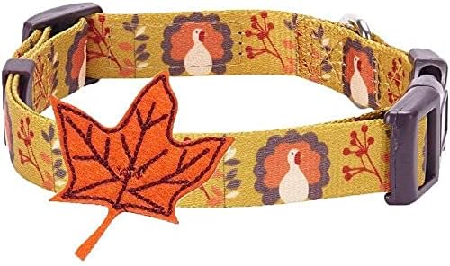 Blueberry Pet Thanksgiving Collar Bundle Set - Small Turkey Collar + Small Holly Collar