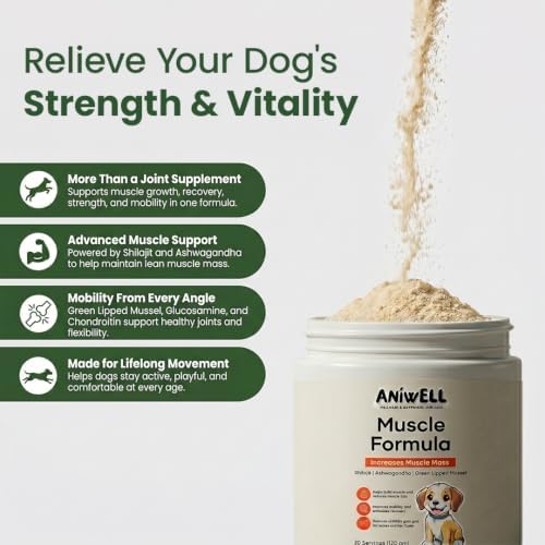 Muscle Formula for Dogs – Glucosamine Chondroitin & Green Lipped Mussel | Shilajit Ashwagandha | Hip and Joint Supplement for Dogs Muscle Strength & Mobility | Dog Joint Supplement | Pack of 2
