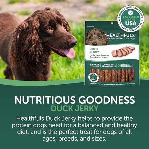 HEALTHFULS Real Duck Jerky Fillets, Grain-Free, Healthy Dog Treats, 16 oz