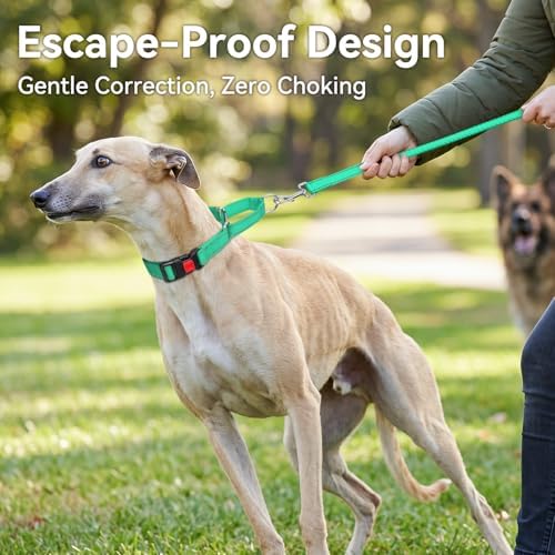 Joytale Martingale Collar for Dogs, Escape Proof No Pull, Teal, L