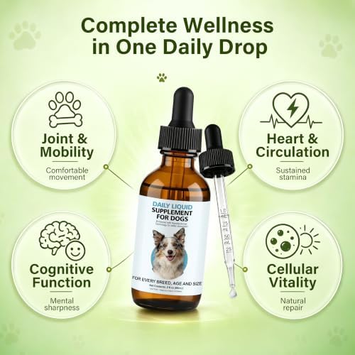 Longevity Supplement for Dogs, Senior Dog Supplements with NMN, NAD+, CoQ10 & Resveratrol - Nanoliposomal Liquid Drops for Joint Support, Heart Health & Healthy Aging - 60ml
