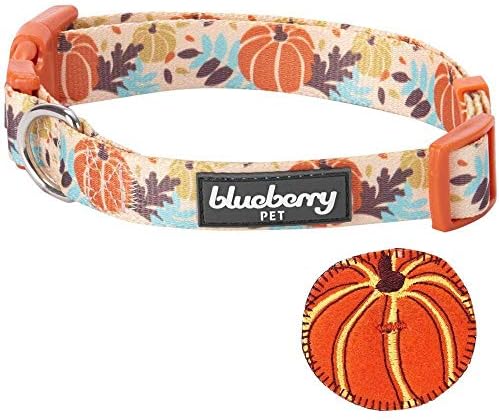 Blueberry Pet Fall Dog Collar, Small Dog Collar for Female & Male Dogs, Extra Small Dog Collar with Pumpkin Décor, Adjustable for Neck 12"-16", Eco-Friendly, Nickel-Free Hardware