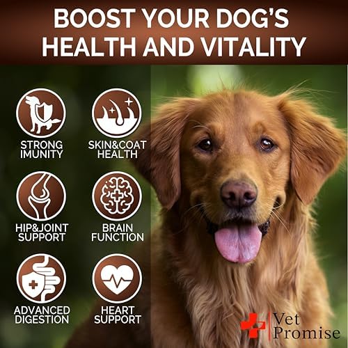 Turkey Tail Mushroom for Dogs - 170 Chews - Mushroom Supplement for Dogs | Lion's Mane, Reishi, Shiitake, Immunity Support Multivitamin Vitamins for Joint Health, Energy, Gut, Skin & Coat, Made in USA
