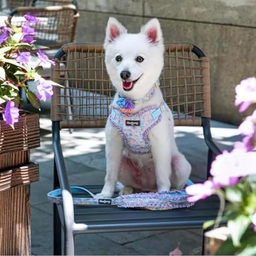 Blueberry Pet Dog Collar, Adjustable Floral Print Puppy Collar in Lavender with Removable Flower, Small 12"-16" Neck, Cute Girl Dog Accessories, Pink Dog Collars for Small Dogs, Safe Fit