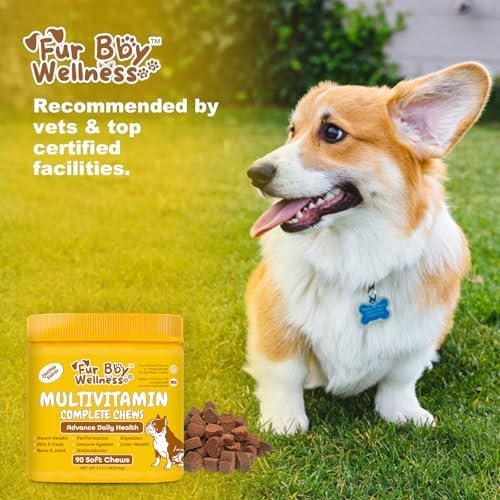 Daily Dog Multivitamin, Chewable Dog Vitamins and Supplements for Hip & Joints, Skin & Coat, Probiotics & Omega 3 Fish Oil for Dogs - Senior & Puppy Multivitamin - 90 Chews