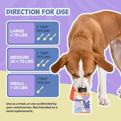 Poochie Butter Blueberry Dog Peanut Butter - Made in USA, Creamy Spread for Lick Mats & Food Toppers - Dry Roasted Peanuts Non-GMO No Sugar Added Dog Treats | 12 oz (Pack of 2)