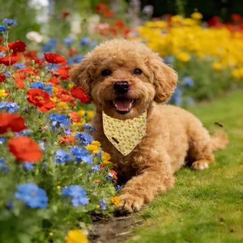 Lionet Paws Spring Summer Bee Dog Bandana Washable Cotton Handkerchief Scarf Triangle Yellow Bandana, Small (Pack of 1), Small, Yellow