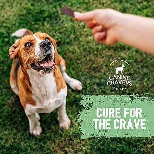 Canine Cravers Single Ingredient Dog Treats - Premium Beef Fillets, 5.3oz