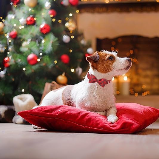 Lionet Paws Christmas Dog Collar, Cute Winter Red Green Dog Collar for Medium Dogs, Adjustable Cotton Grid Pet Collars for Small Medium Dogs