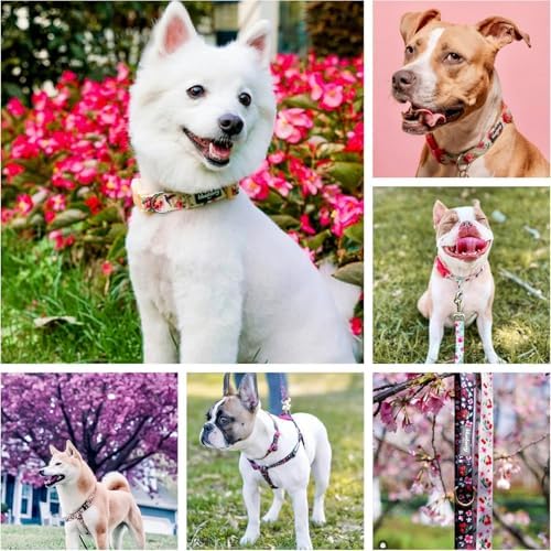 Cherry Garden Dog Collar with Dainty Flowers