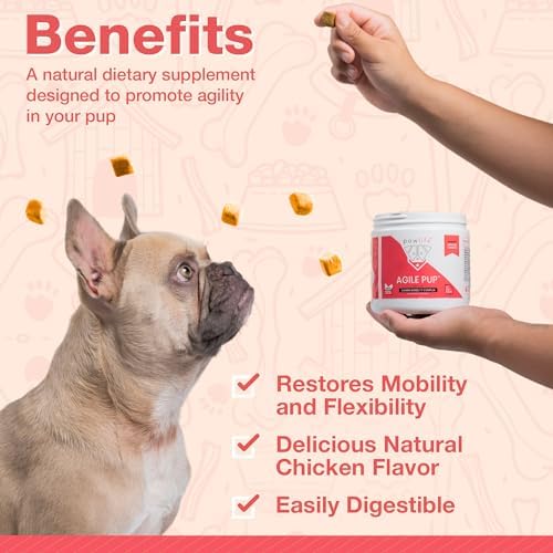 Arthritis Dog Joint Chews| Glucosamine, Chondroitin, Omega-3| MSM Support for Healthy Joints| 120ct Veterinarian Formulated Soft Chews| Up to 4-Month Supply