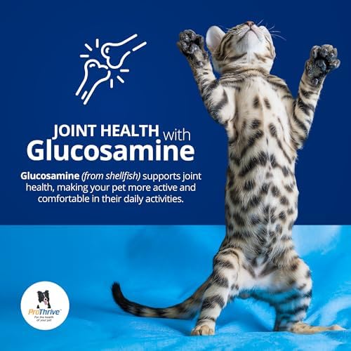 ProThrive Spunky Digestive Supplement - Probiotics, Digestive Enzymes, Joint Support for Cats and Dogs | Gut Health | Pet Probiotics for Dogs and Cats - 1lb