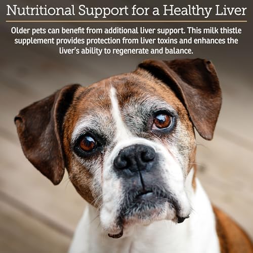 Rx Vitamins Liquid Hepato Support for Dogs & Cats - 4oz