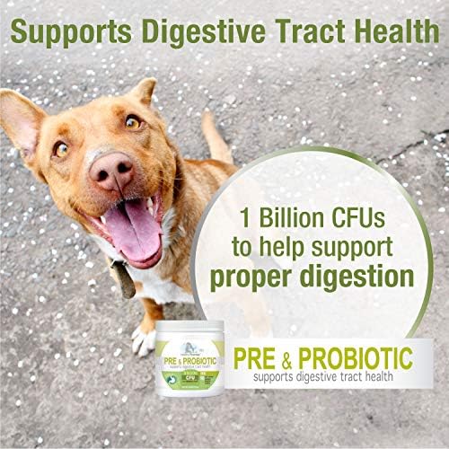 Four Paws Healthy Promise Pre & Probiotics for Dogs, 90 Count