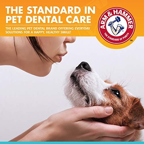 Arm & Hammer for Pets Dental Enzymatic Toothpaste for Dogs | No More Doggie Breath | Dog Toothpaste Safe for All Dogs and Puppies, Advanced Care, Chicken Flavor 2.5 Ounce (Pack of 2)