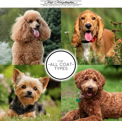 Chris Christensen Day to Day Ultra Concentrated Dog Conditioner, Makes up to 8 Bottles, Groom Like a Professional, Moisturizing, All Coat Types, for Daily Use, Made in USA, 16oz
