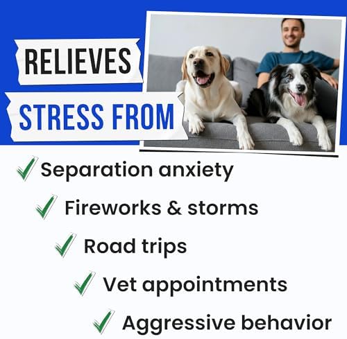 Advanced Hemp Calming Chews for Dogs