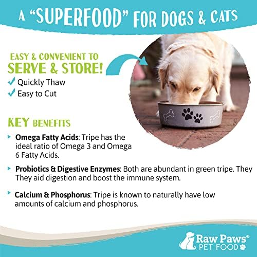 Raw Paws Frozen Raw Green Lamb Tripe Dog & Cat Food, 1-lb Rolls (20 Pack)