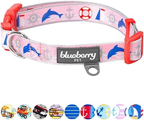 Blueberry Pet Essentials 5 Patterns Smart Chic Bon Voyage Ocean Scenery Dolphin Designer Adjustable Dog Collar, Medium, Neck 14.5"-20"