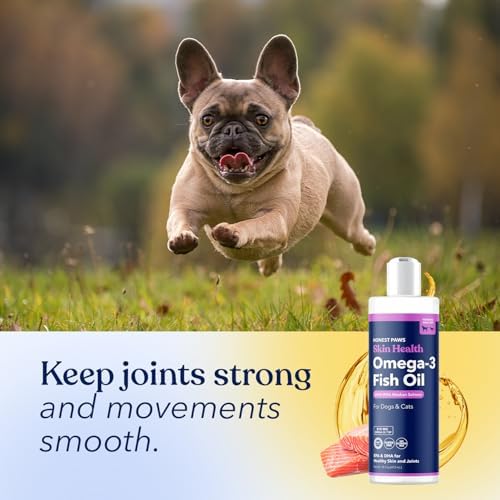 Salmon Oil for Dogs & Cats, Omega 3 Fish Oil for Skin, Coat & Joints, 16oz