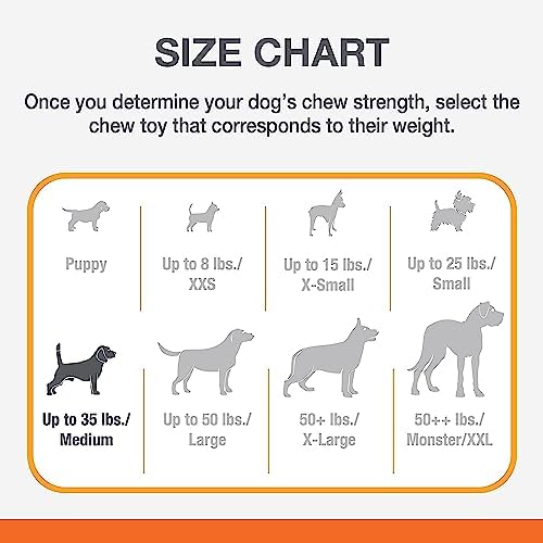 Nylabone Power Chew Double Action Barbell Bone Dog Chew Toy, Medium | Durable dog toy for medium dog breeds up to 35 lbs, teeth-cleaning textures, long lasting, discourages destructive chewing