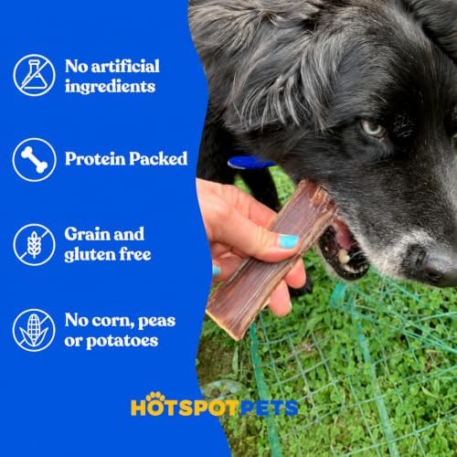 hotspot pets Beef Esophagus Dog Treats (6 INCHES) (1LB Bag) Grass Fed with No Added Hormone All Natural Jerky Dog Treats - Chews Rich in Glucosamine & Chondroitin for Joint Health