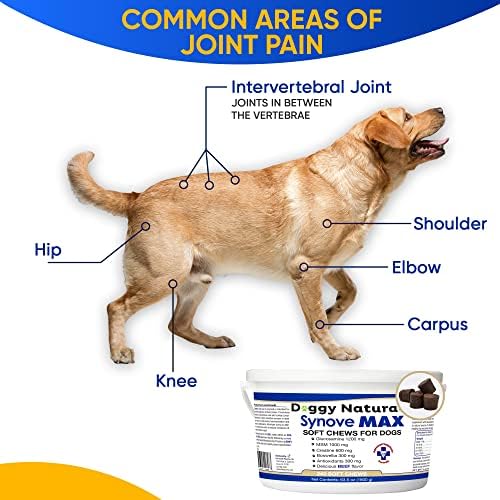 Synove Max Soft Chews for Dogs (240 Count) Beef Flavor, Joint Supplement, Glucosamine, Turmeric, Boswelllia serrata, Creatine Naturally Derived Ingredients better than synovi g4 soft chew