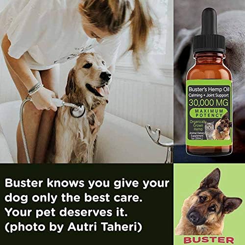 Buster's Hemp Oil for Dogs & Cats, Joints, Calming, Coat, 2-Pack