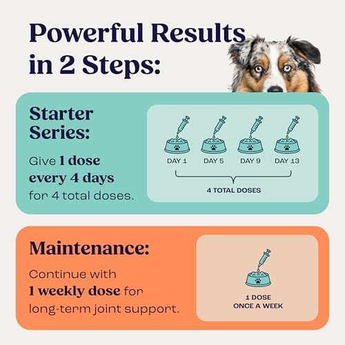 Summit Canine Joint and Mobility Supplement for Medium Dogs, All Natural Liquid Chondroitin, Liposomal Delivery for Arthritis, Hip & Joint Support Vitamin, (Dogs, 25-75lbs)