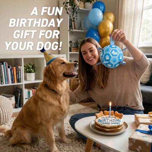 QDAN Dog Balls, 6 Inch Soccer Ball with Straps for Dogs, Outdoor Dog Toys | Dog Toy Balls for 20-40 Lbs Dogs, World Cup Balls for Dogs, Puppy Birthday Gifs