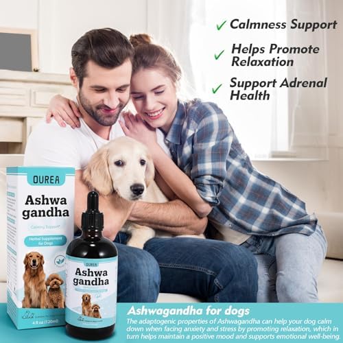 Ashwagandha Drops for Dogs