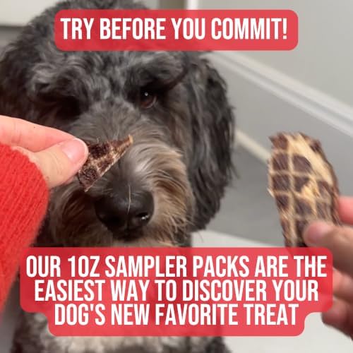 Doug's Dog Supplies Beef Jerky for Dogs - Single Ingredient, Grain-Free, High-Protein (1 Ounce (Sampler), Beef)