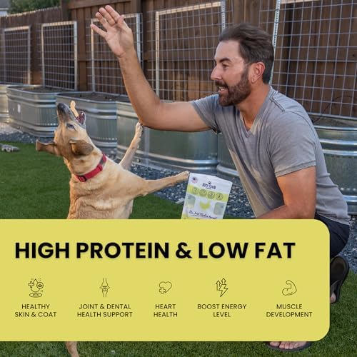 Chicken Jerky Dog Treats | Single Ingredient Dehydrated Chicken Breast, 4oz